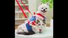 Chest Strap Pet Dog Dog Cat Clothing Teddy Bigbear Magic Schnauzer Small and Medium Dog Cat Dress Dog Supplies